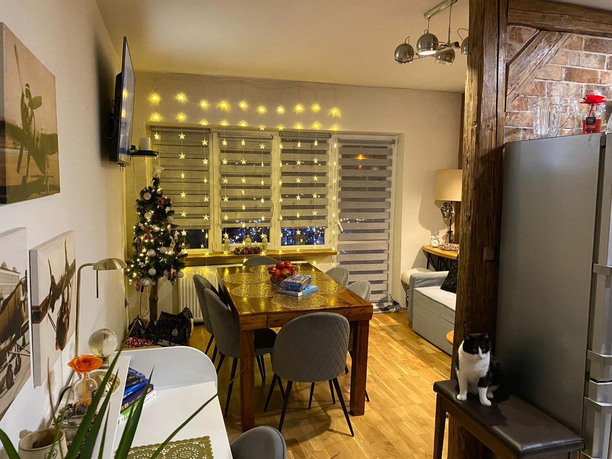 Apartament Centrum Nowa Ruda Εξωτερικό φωτογραφία